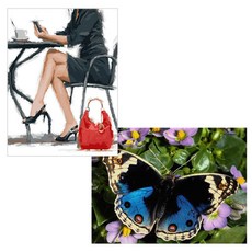 BANHAJIO DIY傑作繪畫2件套職業女性+七彩蝴蝶, 混色