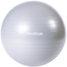 리복 여성용 짐볼 RAB-11016BL, 그레이