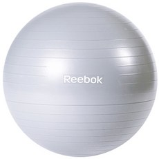 리복 여성용 짐볼 RAB-11015BL, 그레이