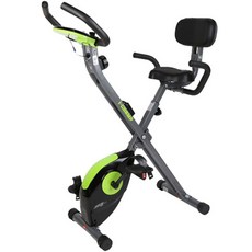 킹카스포츠 FOLDING 엑스바이크, KSP-X1S(라임)