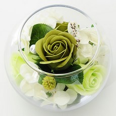 플로라투유 헤라의 미소, 그린