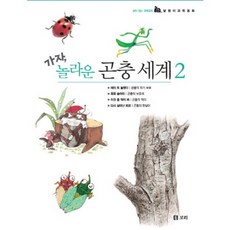 가자 놀라운 곤충 세계 2, 보리, 보리 편집부윤구병