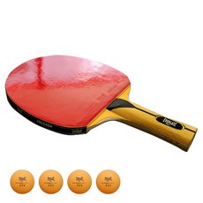 EVERLAST X-5.0桌球拍+桌球 4入, 混色