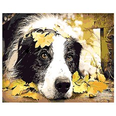 DIY 數字油畫 SET 楓葉與小狗, 混合顏色, 1個