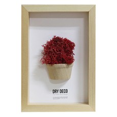 DRY DECO 苔蘚裝飾木框, 紅色的