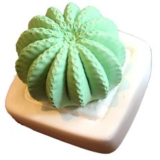 MIPPDA 仙人掌造型擴香石 綠色, 黑櫻桃