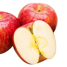 이슬마루 의성 부사 사과 소과, 2kg, 1개