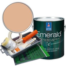 셔윈윌리암스 에메랄드 페인트 세트, SW6352 Soft Apricot, 1L, 1개
