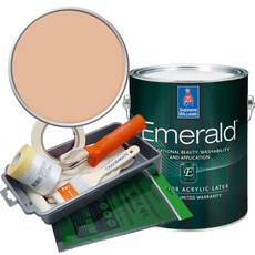 셔윈윌리암스 에메랄드 페인트 세트, SW6345 Sumptuous Peach, 1L, 1개
