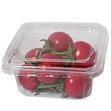 野餐屋一次性透明方形案例, 50個, 單品