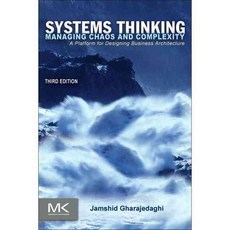 Systems Thinking:: Managing Chaos and Complexity: a Platform for Designing Business Architecture, Morgan Kaufmann Pub