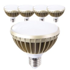 cityo LED燈泡 PAR30 15W, 晝光色, 5件