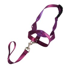 Pet Cody 狗狗皮帶式防咬嘴套 M, D, 1個