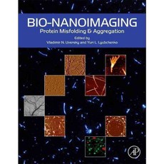 Bio-Nanoimaging: Protein Misfolding & Aggregation, Academic Pr