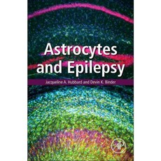 Astrocytes and Epilepsy