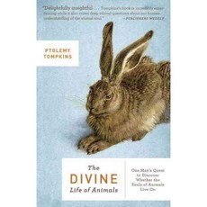 The Divine Life of Animals: One Man's Quest to Discover Whether the Souls of Animals Live On, Broadway Books