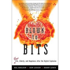 Blown to Bits: Your Life Liberty and Happiness After the Digital Explosion, Addison-Wesley Professional