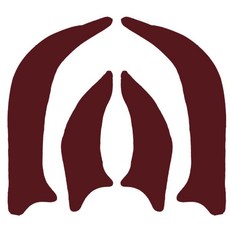 Chamaaroo 基本款車門防踢墊 雪佛蘭, 酒紅色, Lacetti Premiere