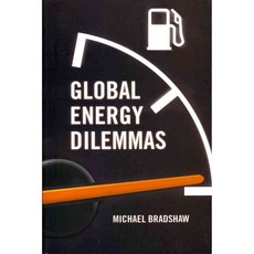 Global Energy Dilemmas: Energy Security Globalization and Climate Change, Polity Pr