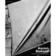 Aaron Siskind: Another Photographic Reality, Univ of Texas Pr