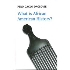 What Is African American History, Polity Pr