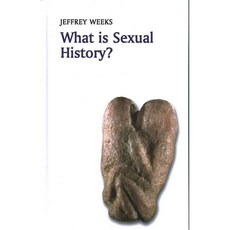 What Is Sexual History, Polity Pr