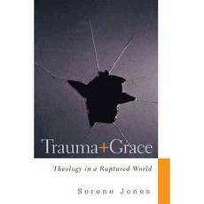 Trauma and Grace: Theology in a Ruptured World, Westminster John Knox Pr
