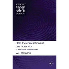 Class Individualization and Late Modernity: In Search of the Reflexive Worker, Palgrave Macmillan