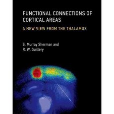 Functional Connections of Cortical Areas: A New View from the Thalamus, Mit Pr