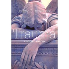 Trauma: A Social Theory, Polity Pr