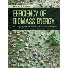 Efficiency of Biomass Energy: An Exergy Approach to Biofuels Power and Biorefineries, John Wiley & Sons Inc