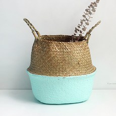 Apoa Room 彩色紫菜籃, 薄荷