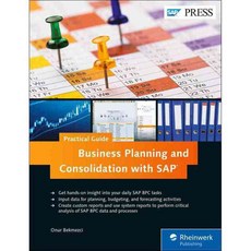 Business Planning and Consolidation With SAP: Business User Guide, Sap Pr America
