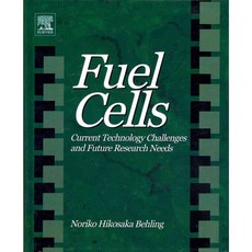 燃料電池：當前的技術挑戰和未來的研究需求, 愛思唯爾科學有限公司