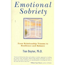 Emotional Sobriety: From Relationship Trauma to Resilience and Balance, Hci