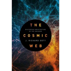 The Cosmic Web: Mysterious Architecture of the Universe, Princeton Univ Pr