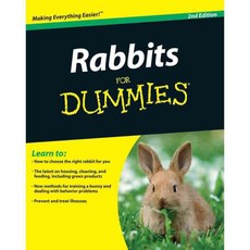 Rabbits for Dummies