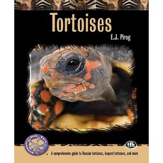 Tortoises: A Comprehensive Guide to Russian Tortoises Leopard Tortoises and More, Tfh Pubns Inc
