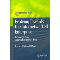 向網路企業發展：技術與組織視角, 紐約施普林格出版社