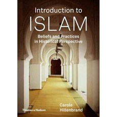Introduction to Islam: Beliefs and Practices in Historical Perspective, Thames & Hudson