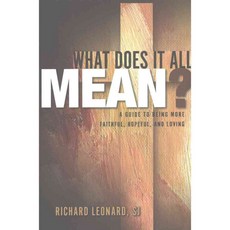What Does It All Mean?: A Guide to Being More Faithful Hopeful and Loving, Paulist Pr