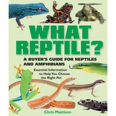 What Reptile?: A Buyer's Guide for Reptiles and Amphibians, Barrons Educational Series Inc