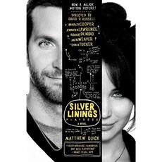 The Silver Linings Playbook, Sarah Crichton Books