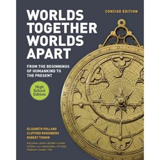 Worlds Together Worlds Apart: From the Beginnings of Humankind to the Present: High School Edition, W W Norton & Co Inc