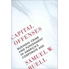Capital Offenses: Business Crime and Punishment in America's Corporate Age, W W Norton & Co Inc