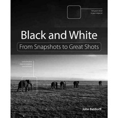 Black and White: From Snapshots to Great Shots, Peachpit Pr