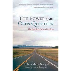 The Power of an Open Question: The Buddha's Path to Freedom, Shambhala Pubns