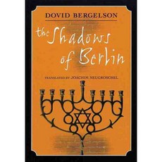 The Shadows Of Berlin: The Berlin Stories Of Dovid Bergelson, City Lights Books