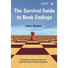 The Survival Guide to Rook Endings, Gambit