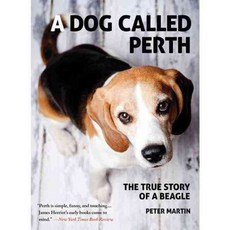 A Dog Called Perth: The True Story of a Beagle, Arcade Pub